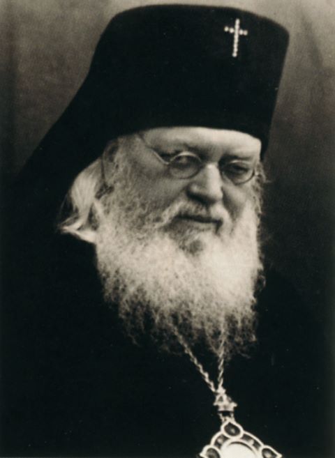 http://www.vidania.ru/icons/luka_480x657.jpg